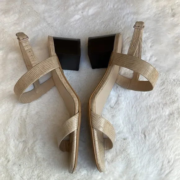 Everlane the double-strap block heel sandals