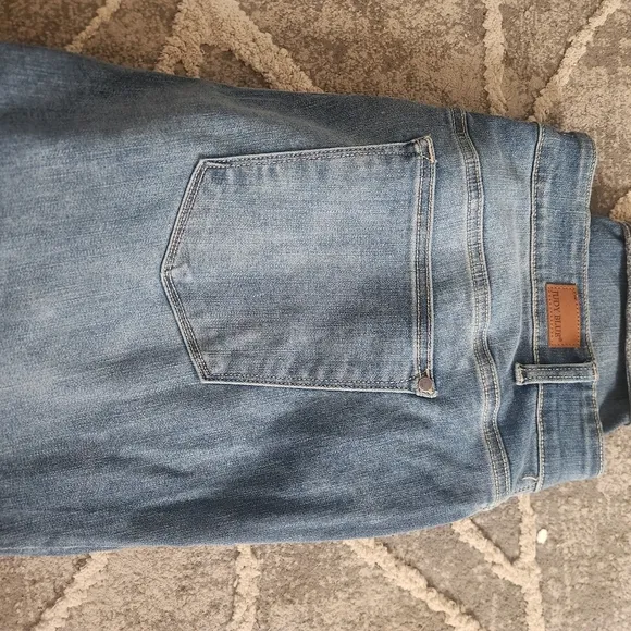 Judy Blue Skinny Jeans