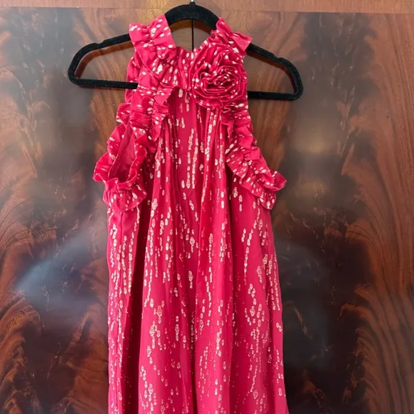 NWT Florian Silk Maxi Dress in Malbec Red Fish Clip Chiffon - Size 6