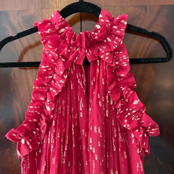 NWT Florian Silk Maxi Dress in Malbec Red Fish Clip Chiffon - Size 6