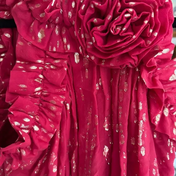 NWT Florian Silk Maxi Dress in Malbec Red Fish Clip Chiffon - Size 6