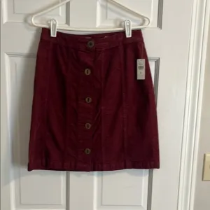 NWT Pilcro and the Letterpress for Anthropolige skirt. size 2