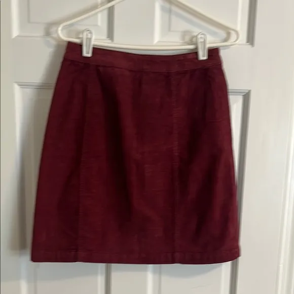 NWT Pilcro and the Letterpress for Anthropolige skirt. size 2