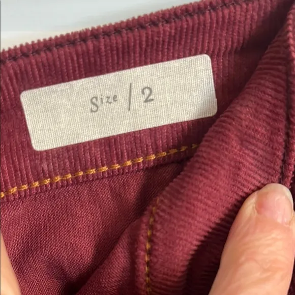 NWT Pilcro and the Letterpress for Anthropolige skirt. size 2