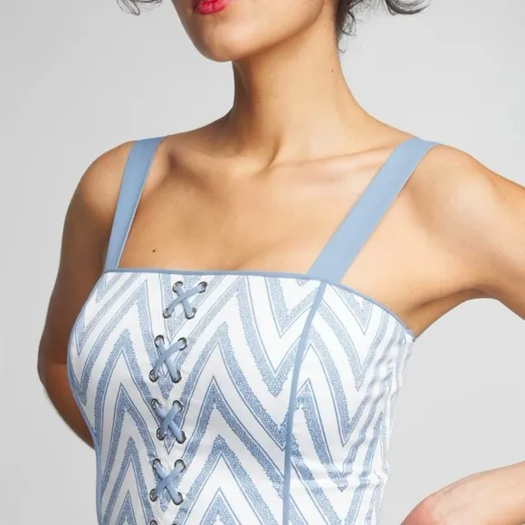 NWT WHBM Corset Flare Midi Dress