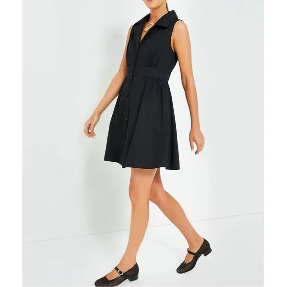 POMANDER PLACE Black Sleeveless Noelle Shirt Dress