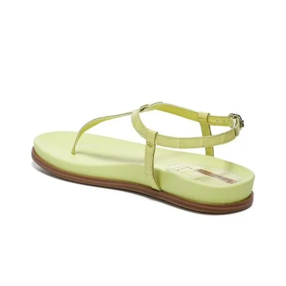 Sam Edelman Womens Kiwi Green Naomi Leather T Strap Flat Sandals Sz 7.5 M NIB